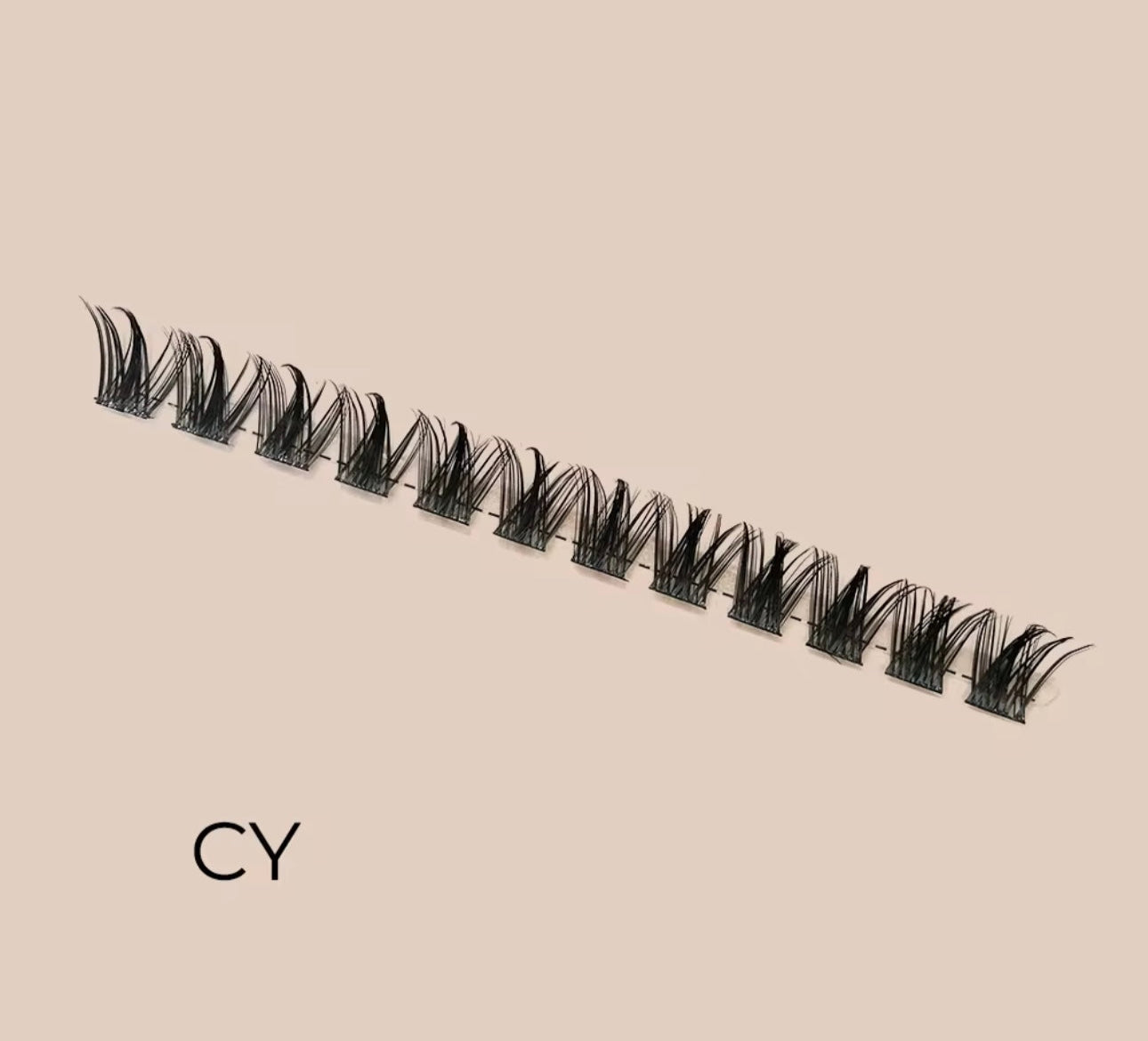 CY