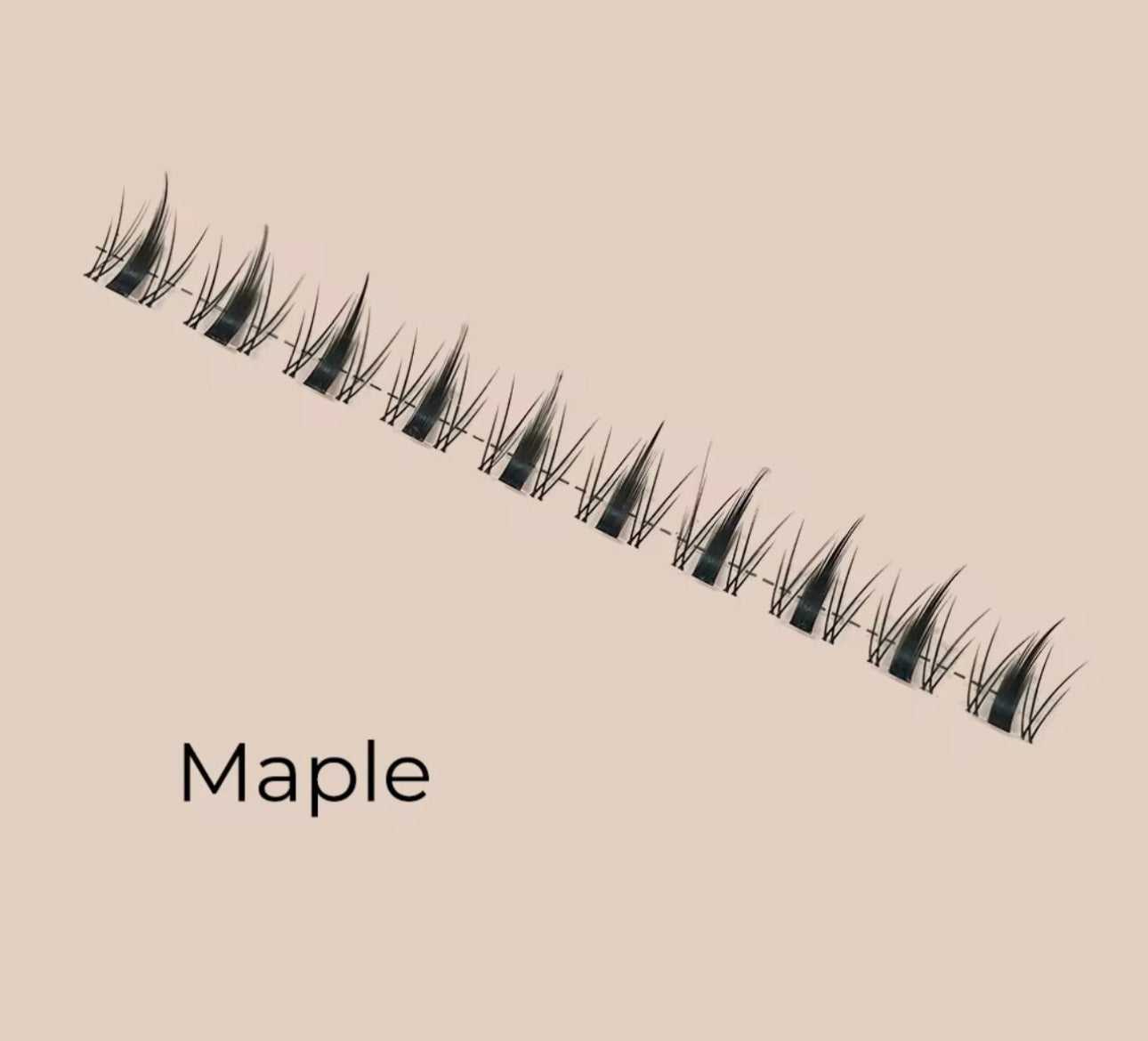 Maple