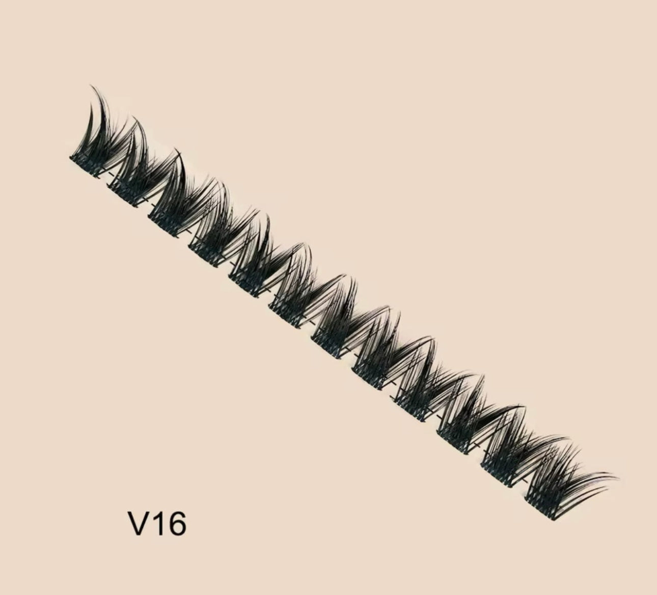 V16