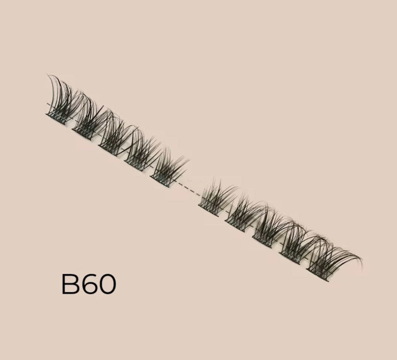 B60