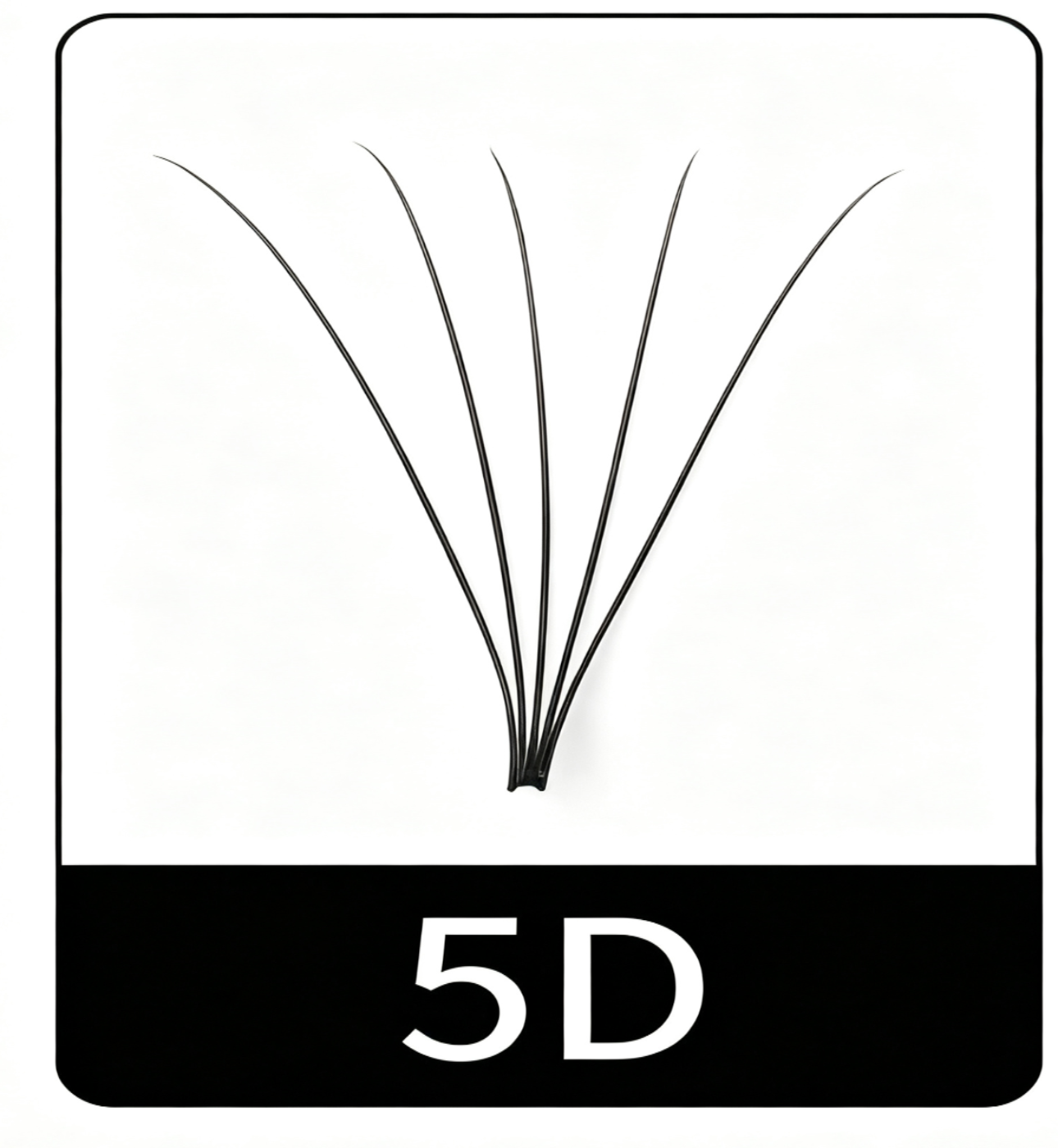 5D