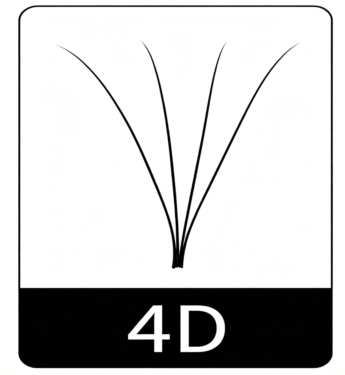 4D