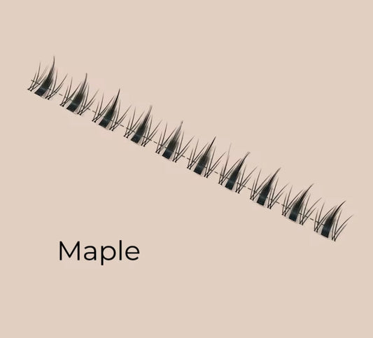 Maple