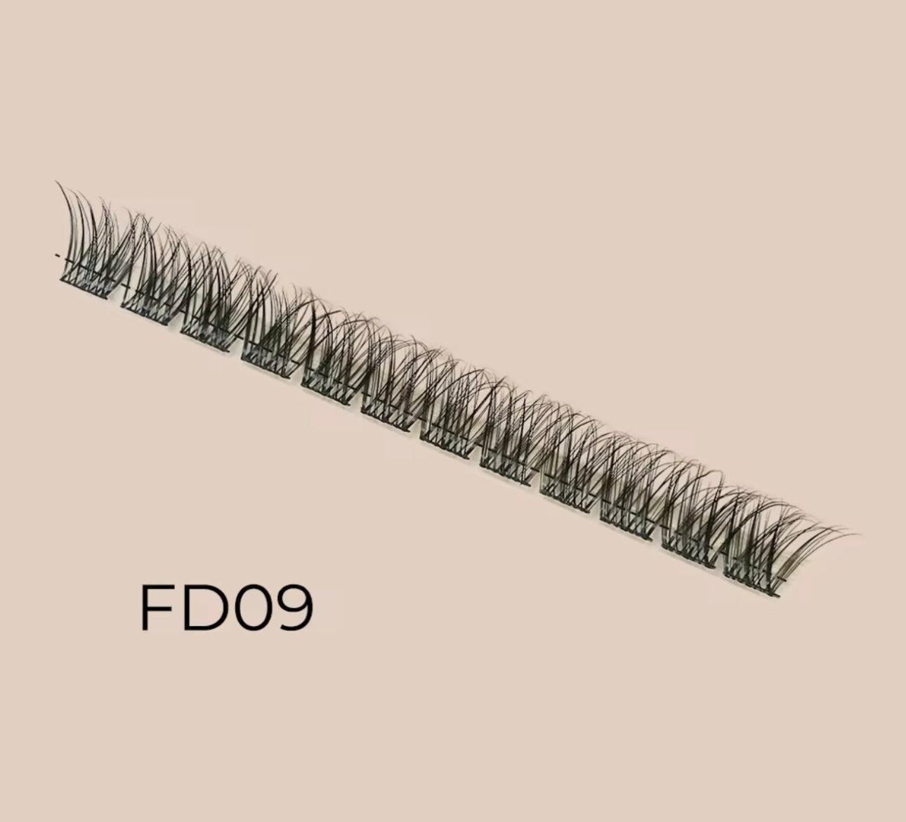 FD09