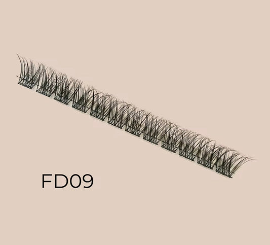 FD09