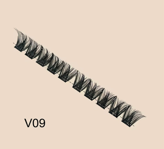 V09
