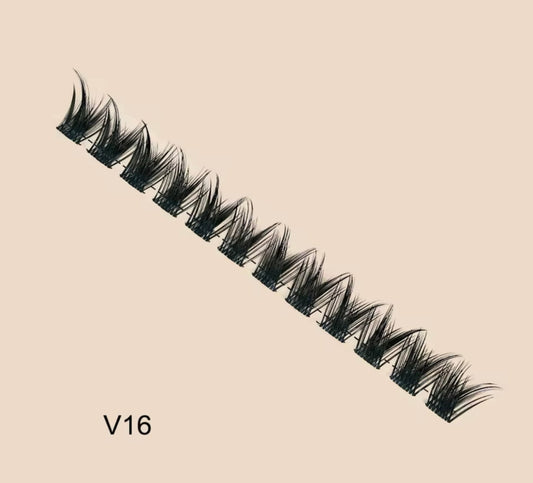 V16