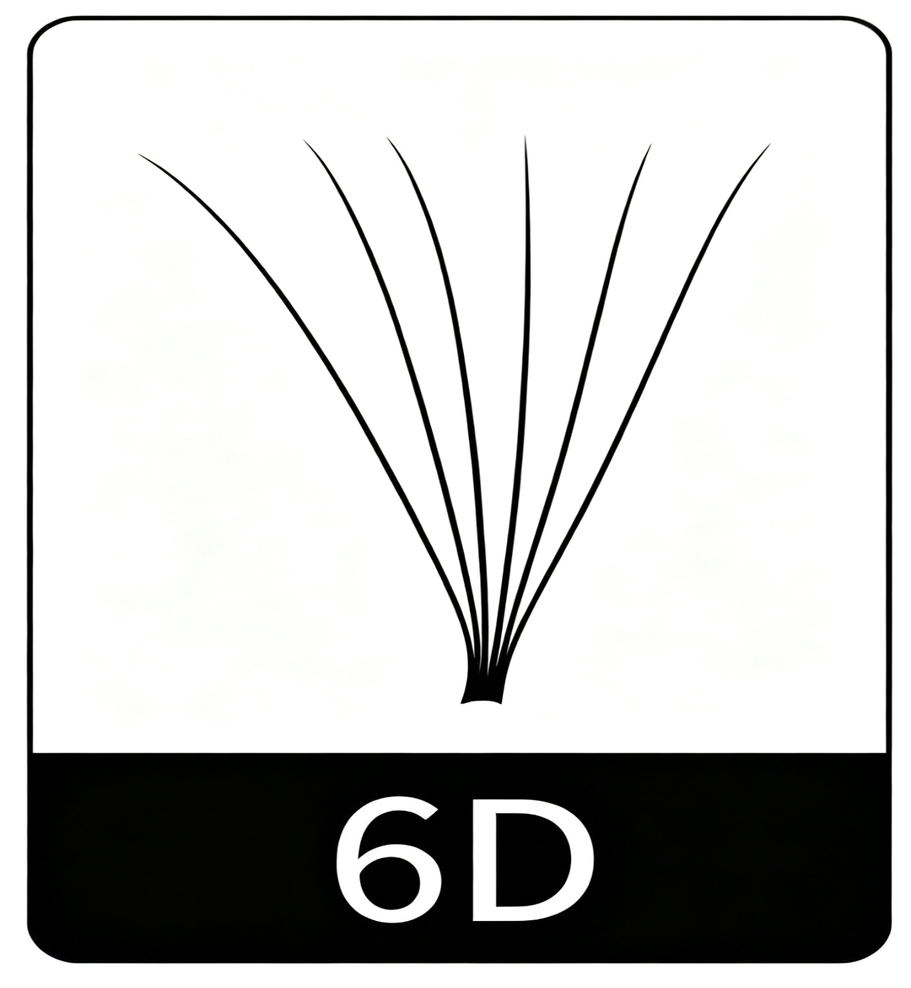 6D