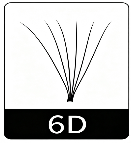 6D