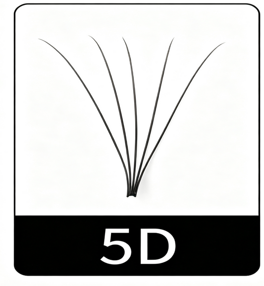 5D