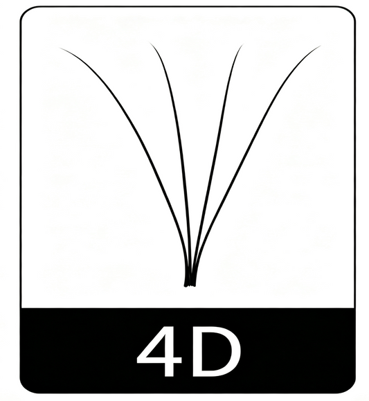 4D