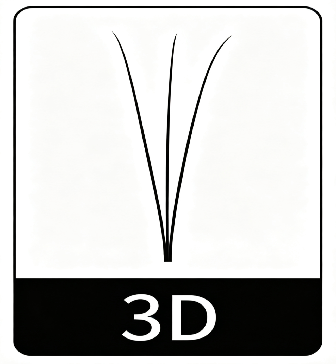 3D