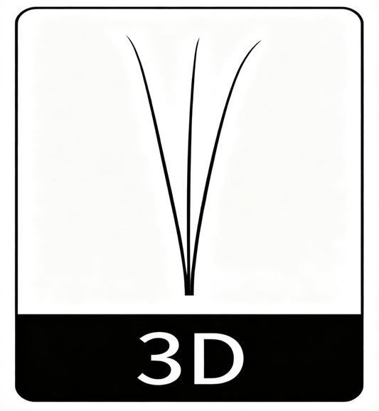 3D